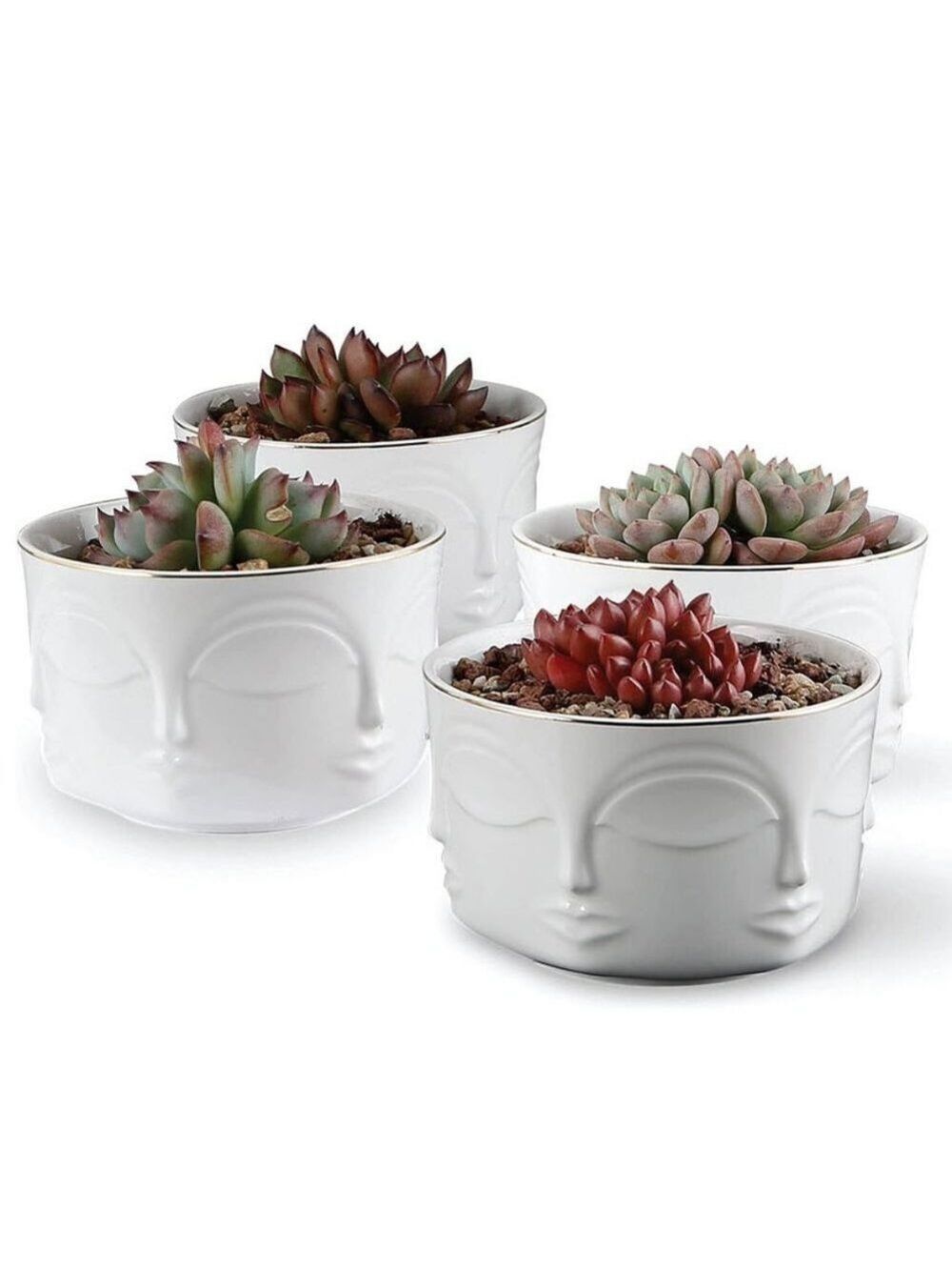 Set of 4 Stunning Face Pot Indoor Planter - Picture 2 of 4